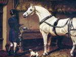 Grey horse print