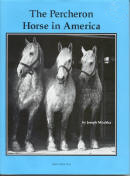 Percheron-horse