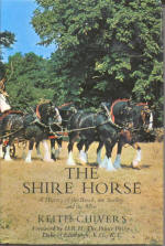 Shire-horse