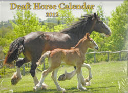 Draft-calendar-2012