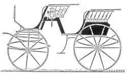 Siamese-phaeton